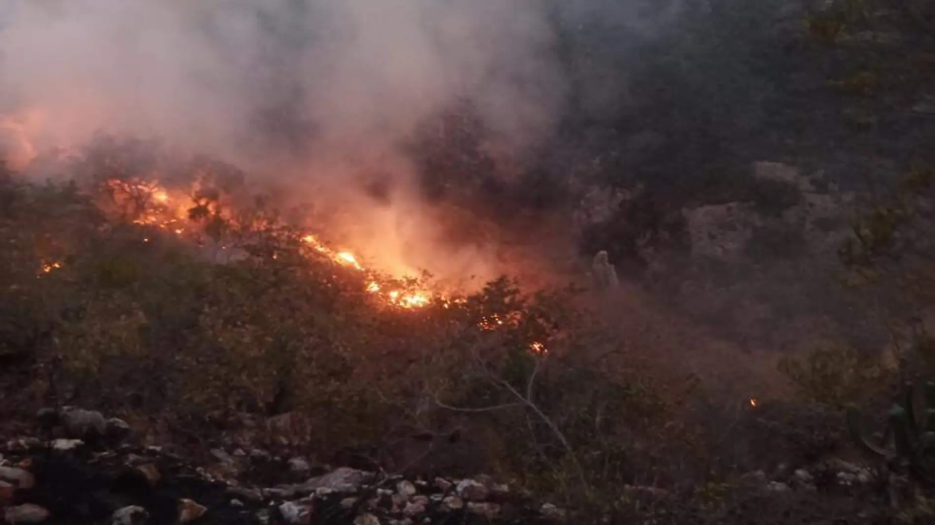 Intensas horas de trabajo fueron necesarias para abatir las inmensas llamaradas. Cortes_a Fb La Loma, La Valla.